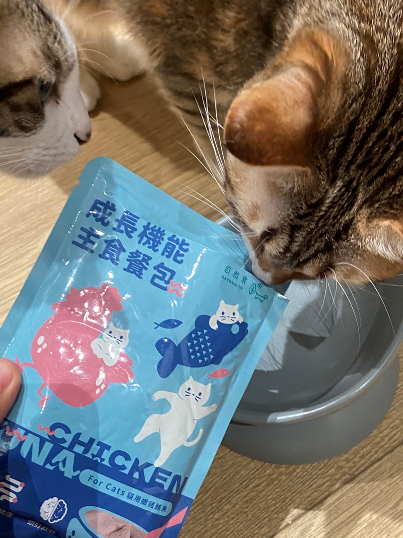 試用
